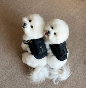 273462971 370174124463242 377319579887019254 n 720x735