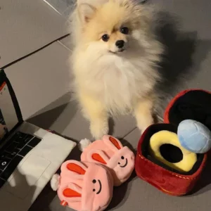 Sc6b1c8ad7eb74bbd80a6482e881c146c2