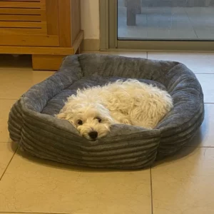 Untitleddesign 49 720x720