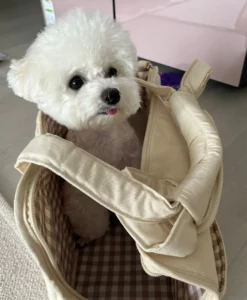 d90e246e b0a6 4673 b87a 157f1c1056f4 900x1092