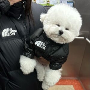 401188176 1374781023139034 8689170721124557450 n