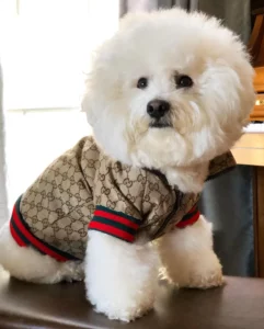 73086940 2172834373022118 4386860224431361563 n 720x897