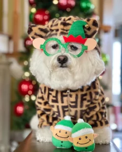 Furdi Glam Designer Winter Coat