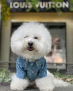 Chewy V Dog Denim Jacket - Image 2