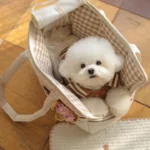 Bichon PortaBag - Image 4