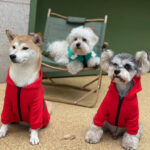 Squid Game Jacket - Image 17