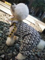 Christian Dogior Dog Jumpsuit - Image 4