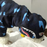 Color Camouflage Hoodies - Image 5