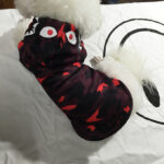 Color Camouflage Hoodies - Image 7