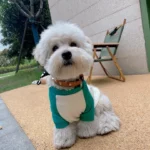 Squid Game Jacket - Image 4