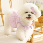 Bichon Belle Lace Summer Pet Dress