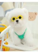 Bichon Beach Bikini - Image 12