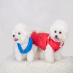 Adidog Vest - Image 3