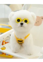 Bichon Beach Bikini - Image 8