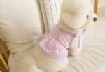Bichon Belle Lace Summer Pet Dress - Image 10