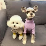 Furberry Elegance Puppy Cloak - Image 3