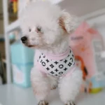 Supreme Summer Princess Pet Dress - Image 3