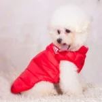 Adidog Vest - Image 4