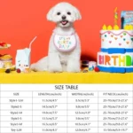 Fashionable Birthday Set - Image 5