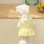 Bichon Belle Lace Summer Pet Dress - Image 5