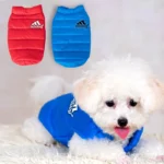 Adidog Vest Blue and Red