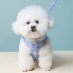 PupPack Explorer Pet Harness with Backpack - Image 8