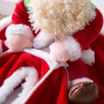 Bichon in Santa's Sleigh Costume - Image 15