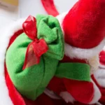 Bichon in Santa's Sleigh Costume - Image 14