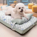 Bichon's Dream Plush Kennel