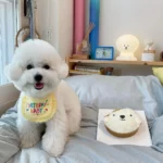 Fashionable Birthday Set - Image 15