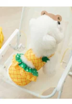 Bichon Beach Bikini - Image 9