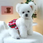 Yuletide Whimsy Santa Dress - Image 4