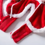 Bichon in Santa's Sleigh Costume - Image 17