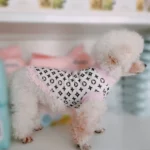 Supreme Summer Princess Pet Dress - Image 7