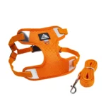 Bichon Reflective Breathable Harness Set - Image 10