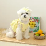 Bichon Belle Lace Summer Pet Dress - Image 4
