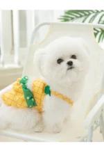 Bichon Beach Bikini - Image 10