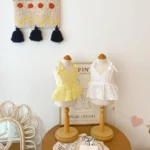 Bichon Belle Lace Summer Pet Dress - Image 6