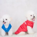 Adidog Vest - Image 2