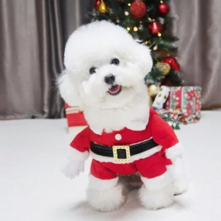 Bichon Santa Claus Costume Bichon Frise Shop