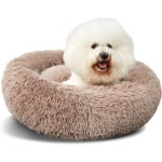 Donut Delight Bichon Bed