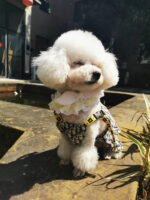 Christian Dogior Dog Jumpsuit - Image 7