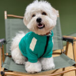 Squid Game Jacket - Image 5