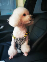 Christian Dogior Dog Jumpsuit - Image 2