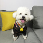 Color Camouflage Hoodies - Image 11