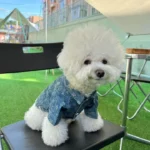 Chewy V Dog Denim Jacket - Image 3