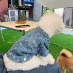 Chewy V Dog Denim Jacket - Image 5