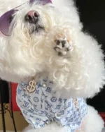 Chewy V Jungle Raincoat - Image 4