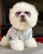 Chewy V Jungle Raincoat - Image 3