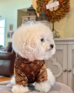 Chewy Reversible Designer Dog Jacket With Hood - Image 4